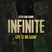 Life Is No Game artwork