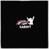 Lanuit - On s'pet un good time (feat. Ariane Zita)