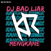 Bad liar Remix (Bad liar Remix) artwork