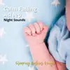Calm Falling Asleep, Night Sounds album lyrics, reviews, download