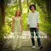 Love Just Flashed - Single album lyrics, reviews, download