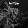 Feel Like (feat. Terry Apala) - Single album lyrics, reviews, download