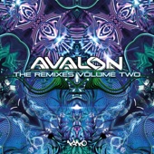 The Remixes, Vol. 2 artwork