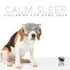 Calm Sleep Lullabies for Dogs 2022 album lyrics, reviews, download