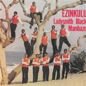 We Dudu We Themba Lami - Ladysmith Black Mambazo