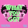 What You Got (feat. FRLS) - Single, 2017