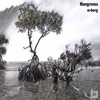 Mangroves - Single