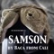 Samson - Baca from Cali lyrics