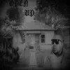 Open Up (feat. Glasses Malone) - Single album lyrics, reviews, download