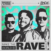 Make the World Rave Again (Extended Mix) artwork