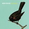 New Focus on Song, 2016