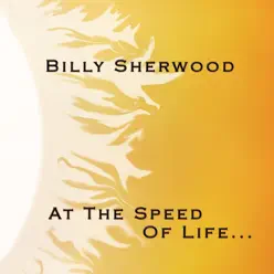 At the Speed of Life - Billy Sherwood At the Speed of Life - Billy Sherwood