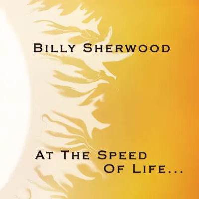 At the Speed of Life - Billy Sherwood
