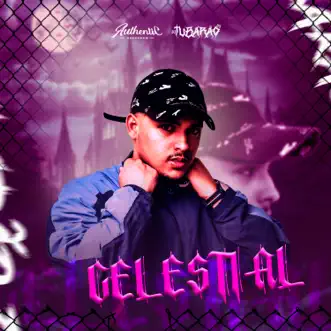 Celestial - EP by DJ Tubarão ZS album reviews, ratings, credits