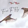 Free to Fly song lyrics