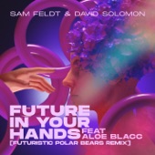 Future In Your Hands (feat. Aloe Blacc) [Futuristic Polar Bears Remix] artwork