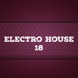 Electro House, Vol. 18 by The Rubber Boys, Switch Cook, Outerspace & Pyramid Legends album reviews, ratings, credits