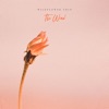 The Wind - Single