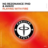 Playing with Fire - Single