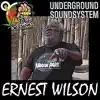 Undying Love (feat. Ernest Wilson) [Dubplate] - Single album lyrics, reviews, download