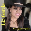 No Me Busques - Single