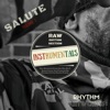 Salute: Volume 1 (Instrumentals)