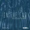 In the End (Photographer Remix) - Single album lyrics, reviews, download