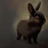 bunnybunnybunny by mietze conte