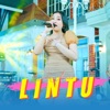 Lintu - Single