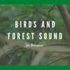 Birds and Forest Sounds for Relaxation album lyrics, reviews, download