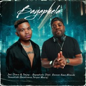 Bayaphela (feat. Rascoe Koas, Ntando Yamahlubi, Basetsana & Torque Muziq) [Radio Edit] artwork