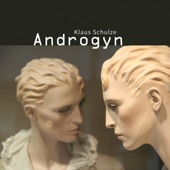 Androgyn (feat. Wolfgang Tiepold) artwork