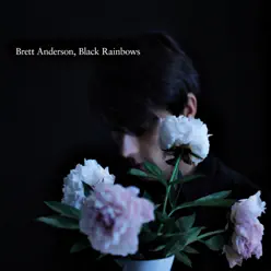 Black Rainbows (Deluxe) - Brett Anderson