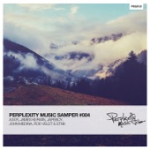 Perplexity Music Sampler #004 artwork
