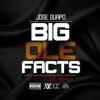 Big Ole Facts (feat. Cool Amerika) song lyrics