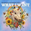 What I Want - Single