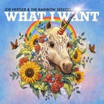 Joe Hertler & The Rainbow Seekers - What I Want