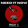 Need It Now - Single