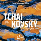 Tchaikovsky: Symphony No. 5 - Rimsky-Korsakov: Kitezh Suite artwork