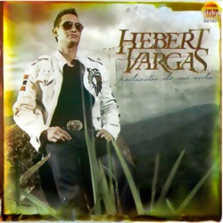 Hebert Vargas - Perdedor