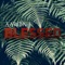 Blessed - Aaron J lyrics