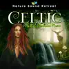 Celtic Fantasy Relaxation Music album lyrics, reviews, download