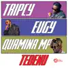 Tedenu (feat. Eugy, Tripcy & Quamina Mp) - Single album lyrics, reviews, download