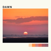 Dawn artwork