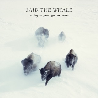 Said The Whale On Apple Music