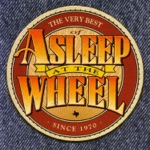 Asleep at the Wheel - Choo Choo Ch' Boogie