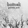 Gamma Jack - Single album lyrics, reviews, download