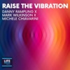 Raise the Vibration - Single