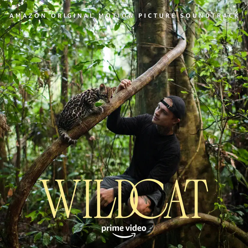 Patrick Jonsson - 纪录片《野猫》原声带 Wildcat (Amazon Original Motion Picture Soundtrack) (2022) [iTunes Plus AAC M4A]-新房子