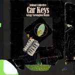 Animal Collective - Car Keys (Gregg Turkington Remix)